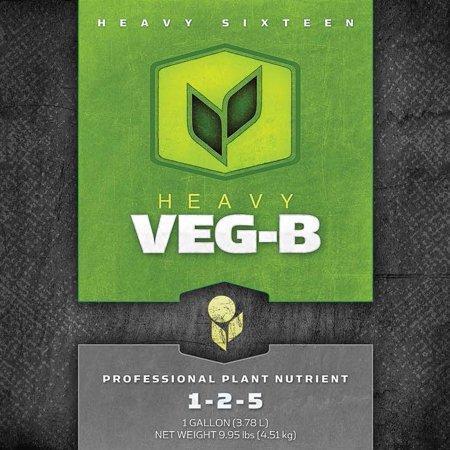 Heavy 16 Veg B