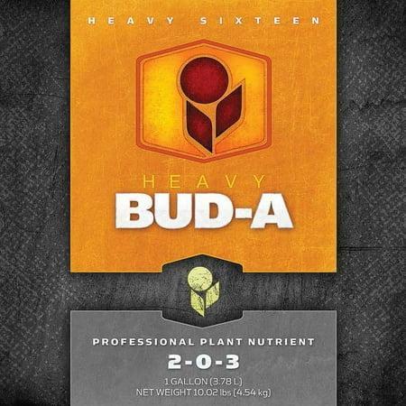 Heavy 16 H16-Bud-Set-1 B Set Quart, 1 Bud A