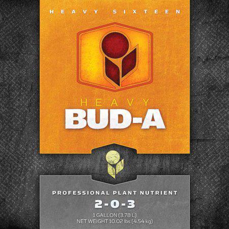 Heavy 16 Bud A